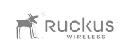 ruckus logo grey